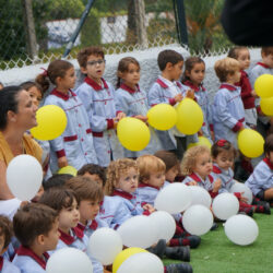 IMG_5C9E25A45CD0-1