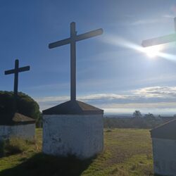 WhatsApp Image 2025-11-19 at 10.22.39