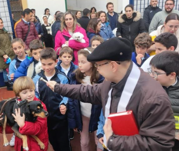 Bendición de San Antón, Bendición de los Animales