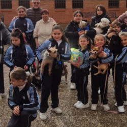 Captura de pantalla 2026-01-21 105851