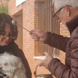 Captura de pantalla 2026-01-21 105910