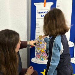 WhatsApp Image 2026-01-30 at 09.26.22