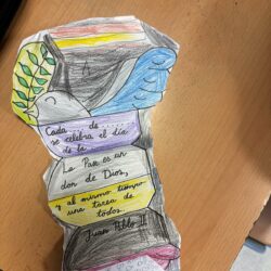 WhatsApp Image 2026-01-30 at 12.12.31