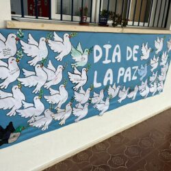 WhatsApp Image 2026-01-30 at 14.07.12