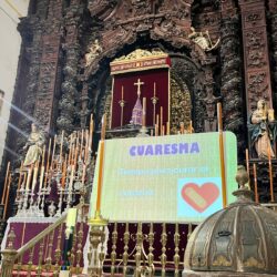 WhatsApp Image 2026-02-18 at 14.29.25 (1)