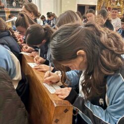 WhatsApp Image 2026-02-18 at 14.29.28