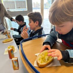 WhatsApp Image 2026-02-27 at 11.16.28