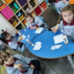 WhatsApp Image 2026-02-27 at 11.19.29 (1)