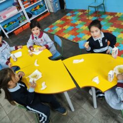 WhatsApp Image 2026-02-27 at 11.19.29 (2)