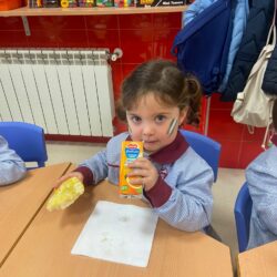 WhatsApp Image 2026-02-27 at 12.06.03 (3)