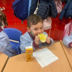 WhatsApp Image 2026-02-27 at 12.06.04 (2)