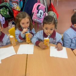 WhatsApp Image 2026-02-27 at 12.06.04 (3)