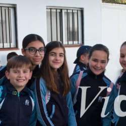 Captura de pantalla 2026-05-12 112646
